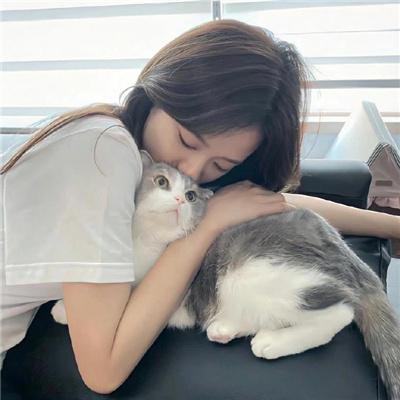 小车故障